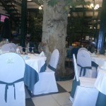Restaurante El Rana Verde